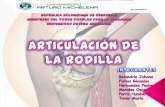 claudiacelta presentacion rodilla