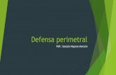 Defensa perimetral