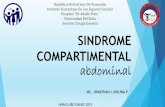 Sindrome compartimental abdominal