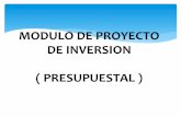 MODULO DE PROYECTO DE INVERSIÓN ( PRESUPUESTAL )