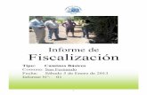Informe de fiscalización caminos Básicos San Fernando