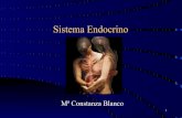 Sistema Endocrino generalidades