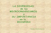 La diversidad de los microorganismos, su importancia en la biosfera