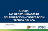 Suelos: las oportunidades de colaboración y cooperación técnica del IICA - Alejandra Sarquis