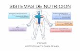 Sistemas de nutricion