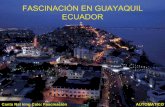 Guayaquil la bella