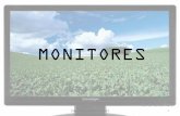 Exp monitores