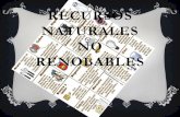recursos naturales no renovables (practica )