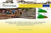 Análisis de la deforestación y estragegias para reducirla en la Reserva Forestal El Choré.  Robert Müller