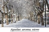 Aguilar, aroma, nieve