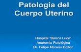 Patologia del cuerpo_uterino2002