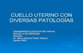 Go Clase 40 Cuello Uterino Con Diversas PatologíAs Dr Fuster