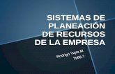 SISTEMAS DE PLANEACIÓN DE RECURSOS DE LA EMPRESA