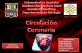 Exposición circulación coronaria