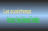 Los Ecosistemas Sergio  Valenzuela