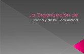 La organización de España y la Comunidad Autónoma de Castilla-La Mancha...