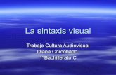 Sintaxis visual