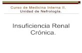I. renal cronica 07 08