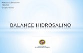 Balance hidrosalino