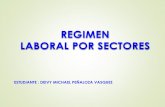 Regimen Laboral por Sectores
