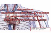 Sistema cardiocirculatorio y enfermedades cardiovasculares