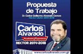 Propuesta de trabajo > Dr. Carlos Alvarado