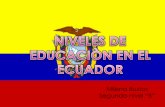 Realidad niveles de educaciòn en el ecuador