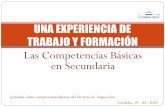 Jornada de Formación en Competencias al Servicio de Inspección de Córdoba