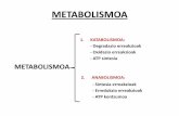 Metabolismoa I