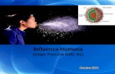 Influenza 2011