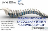 Examen funcional de la columna vertebral, KINESIOLOGIA