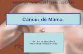 Cancer mama