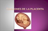 Funciones de la Placenta