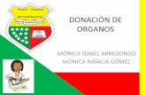 Donación de organos