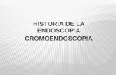 Gastroendoscopia y cromoendoscopia