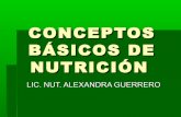 Conceptos basicos de nutricion