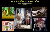 Nutrición y digestión
