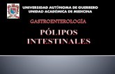Polipos intestinales