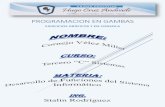 Programación de ejercicios de consola y gráficos en GAMBAS