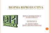 biopsia reproductiva