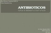 Presentacion clase antibioticos