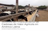 Modelos de Financiamiento de Cadenas de Valor Agricola en America Latina