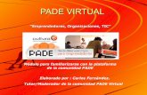 PresentacióN Pade Virtual