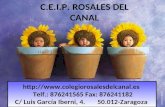 Presentacion Colegio Rosales Del Canal Zaragoza