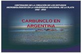 Noseda  carbunclo en argentina