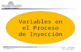 Variables inyecci³n