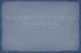 Magnetismo y fuerza magnética