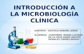Introducción a la microbiología clínica