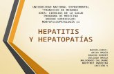 HEPATITIS Y HEPATOPATÍAS