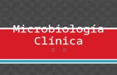 Microbiología clinica